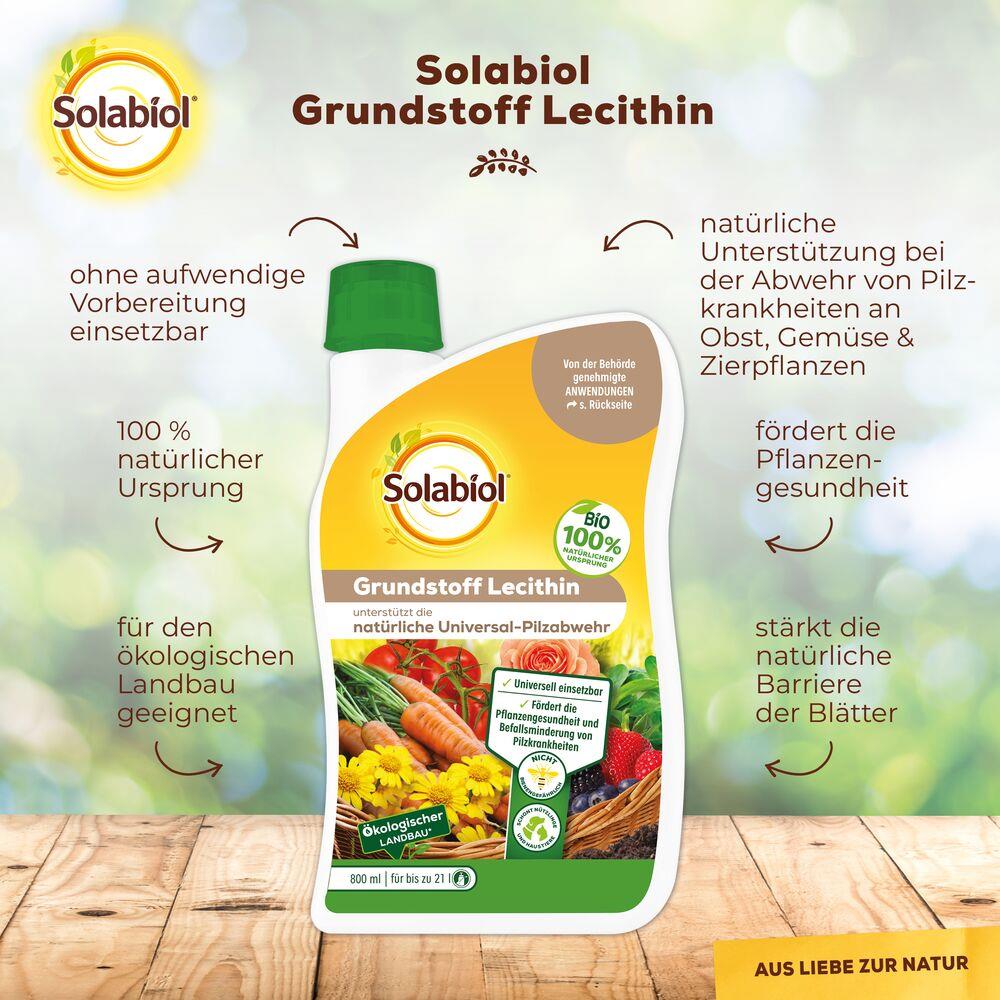 Solabiol Grundstoff Lecithin