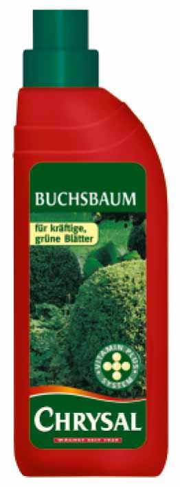 1525_GBXS_Buchsbaum_500ml.jpg