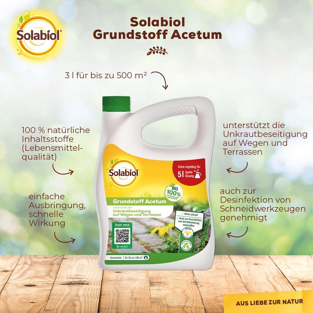Solabiol Grundstoff Acetum