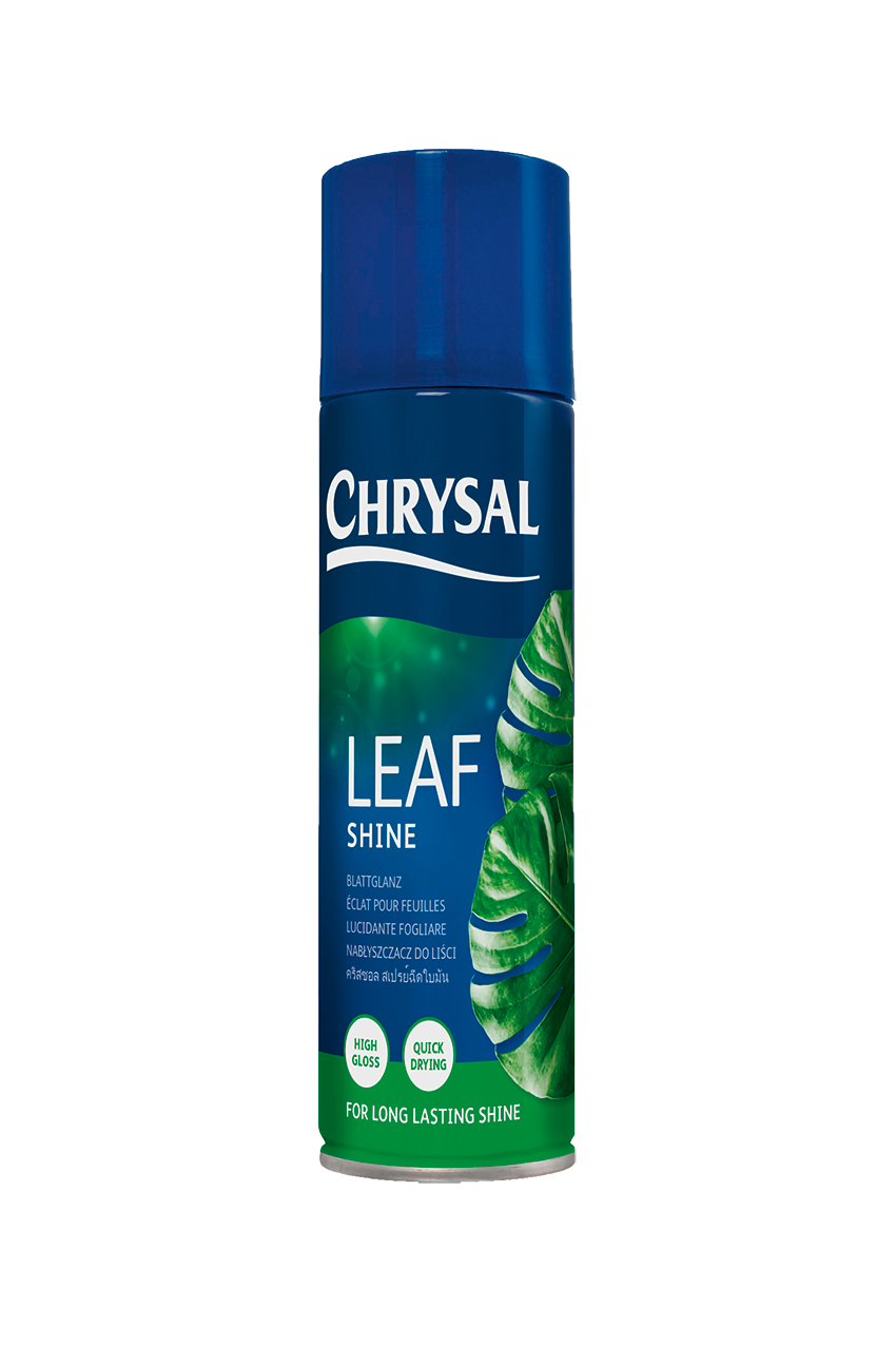 4000_Leafshine_aerosol_250ml_EN_PO_DE_FR_IT_TH_HR_komprimiert_frei.png