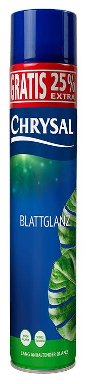 Chrysal Blattglanz