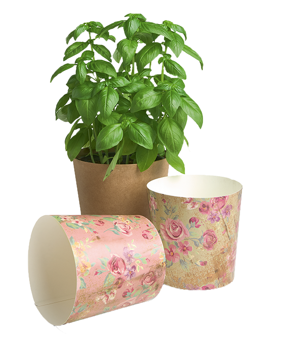 Eco_PaperCup_3_Toepfe_komprimiert_frei.png