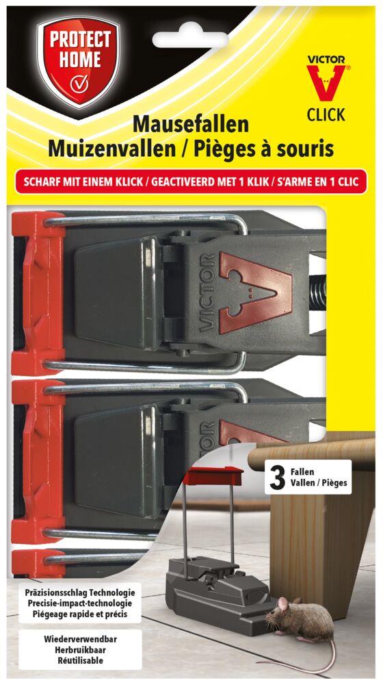 Protect Home Mausefalle Click