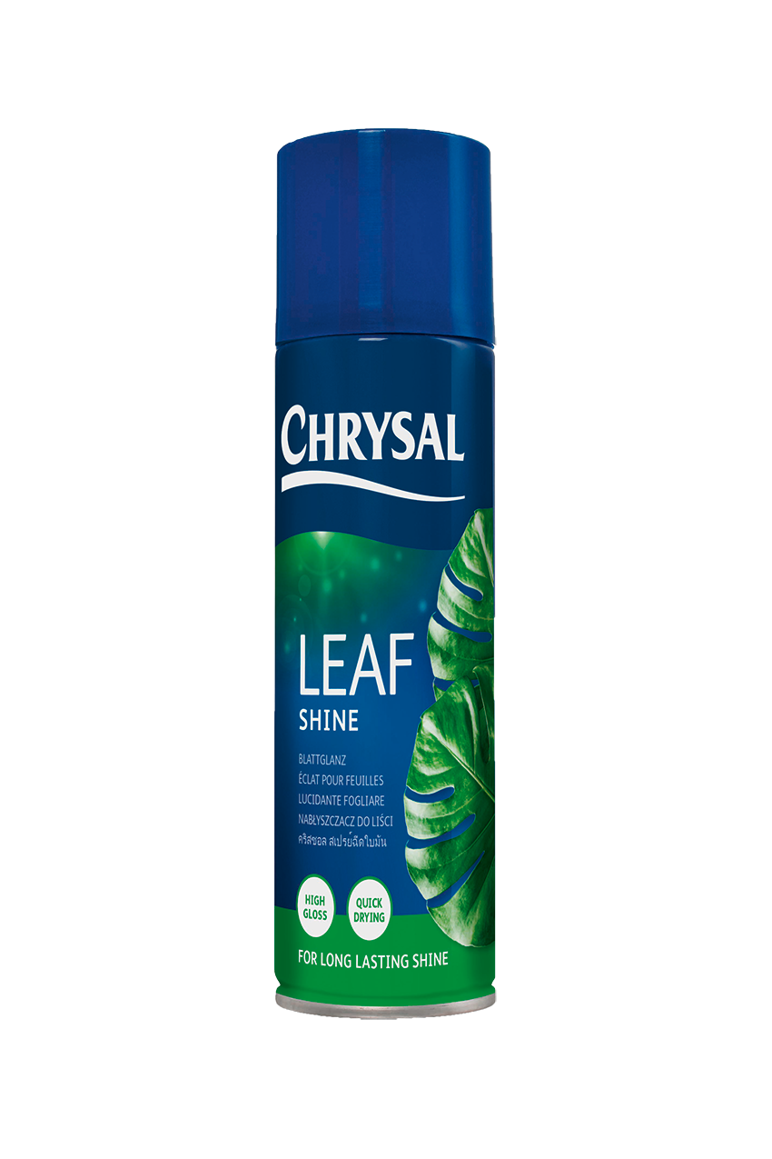 4000_Leafshine_aerosol_250ml_EN_PO_DE_FR_IT_TH_HR_komprimiert_frei.png