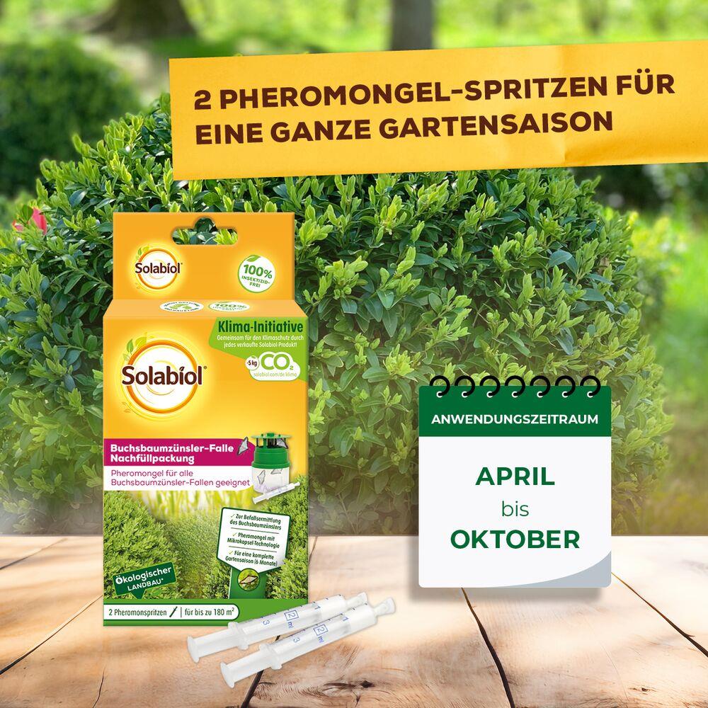 Solabiol Buchsbaumzünsler-Falle Nachfüllpackung