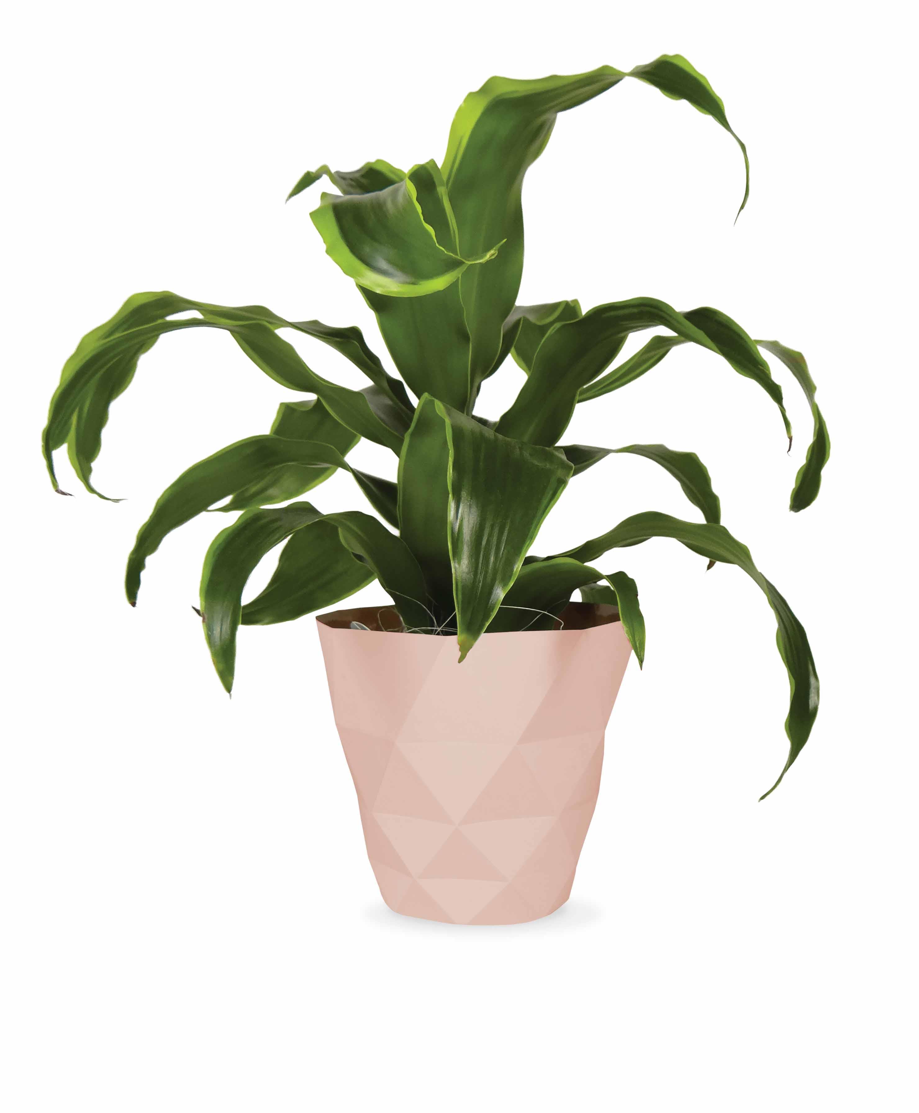 Geometric_Potcover_RosaCopper_Flower.jpg