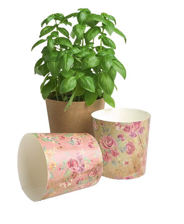 Eco_PaperCup_3_Toepfe_komprimiert_frei.png