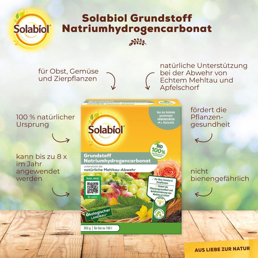 Solabiol Grundstoff Natriumhydrogencarbonat