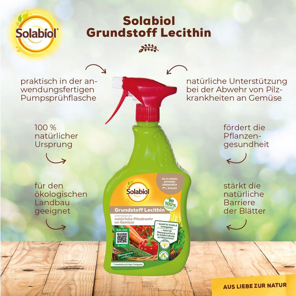 Solabiol Grundstoff Lecithin Spray