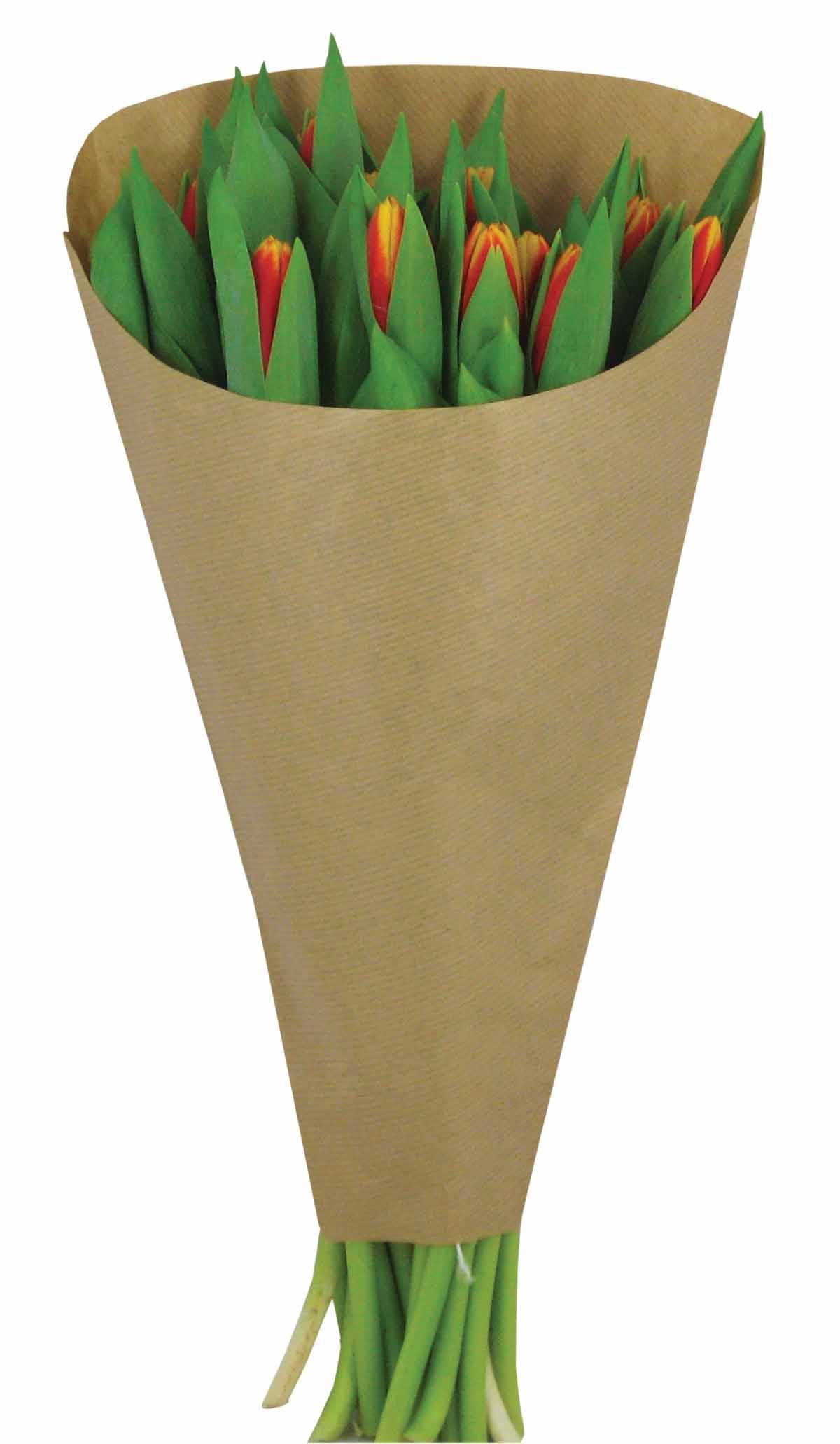 EcoTulipSleeve_Flowers_1.jpg