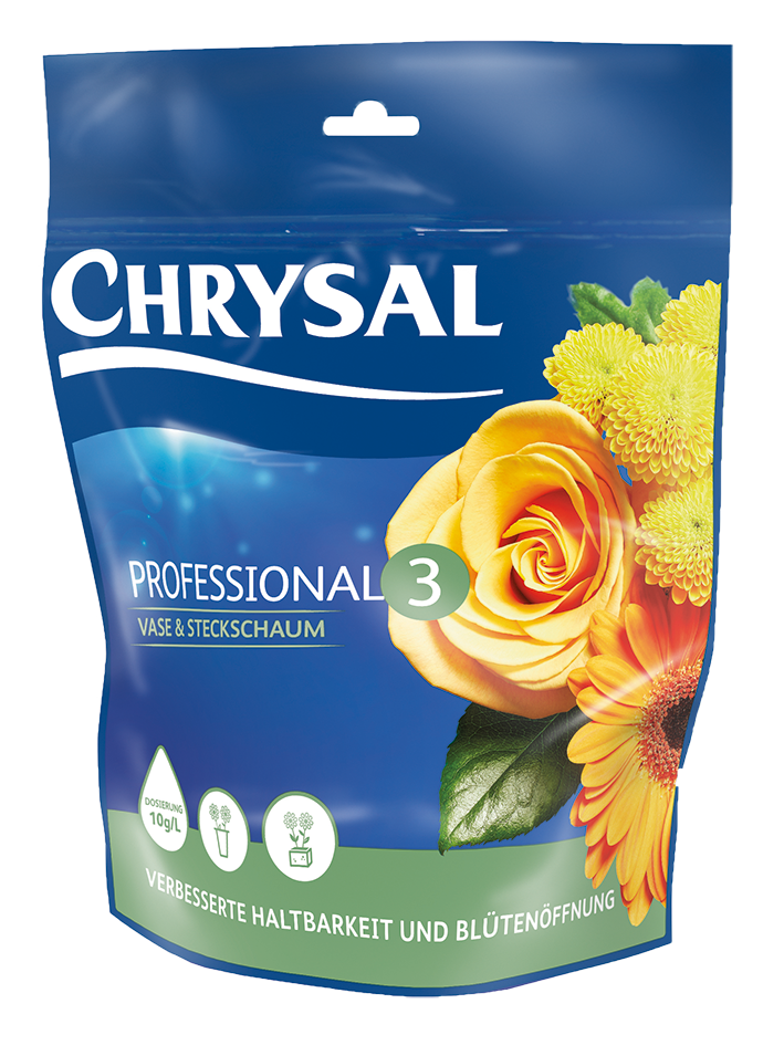Chrysal Professional 3 Vase & Steckschaum