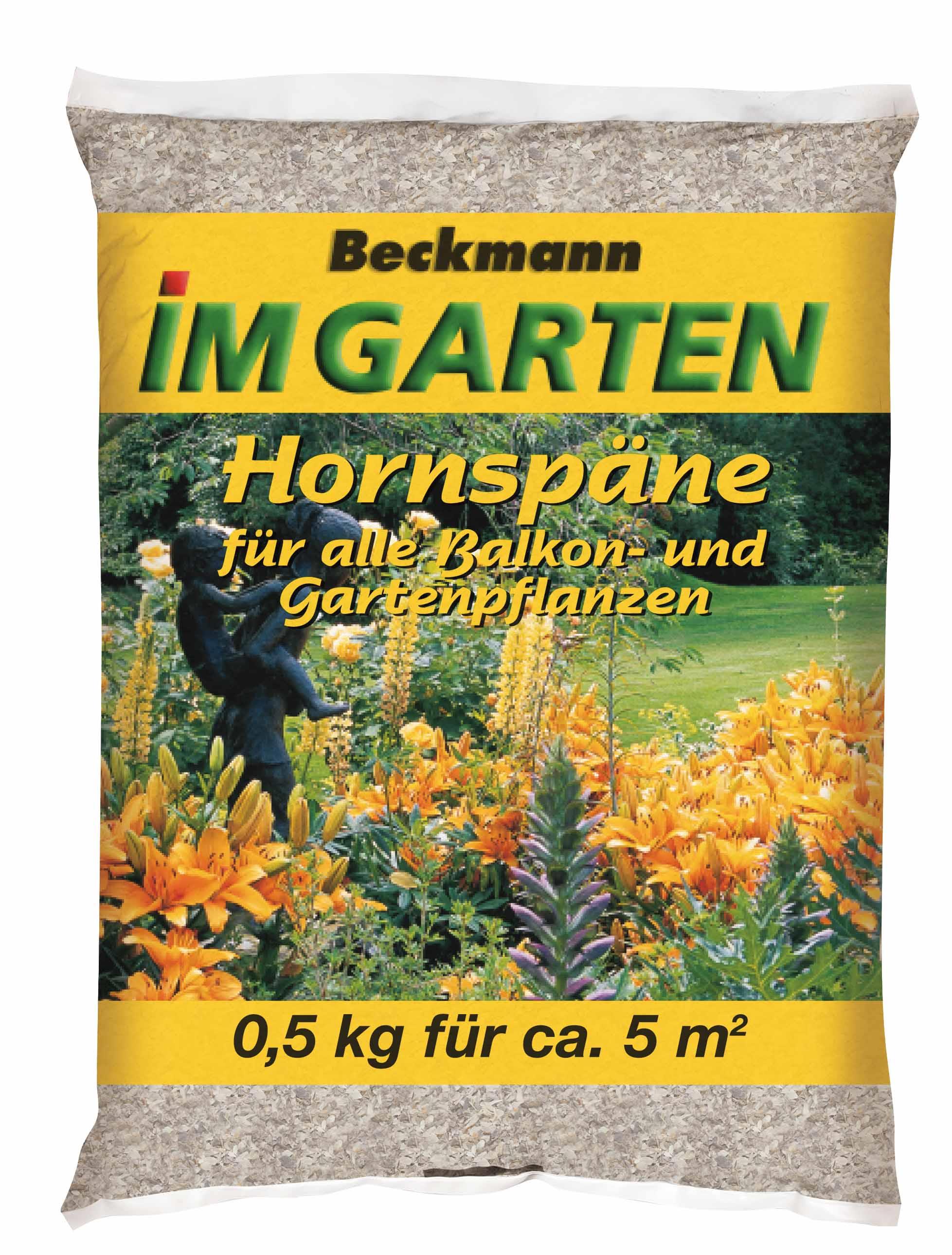 2140_BiG_Hornspaene_05kg.jpg