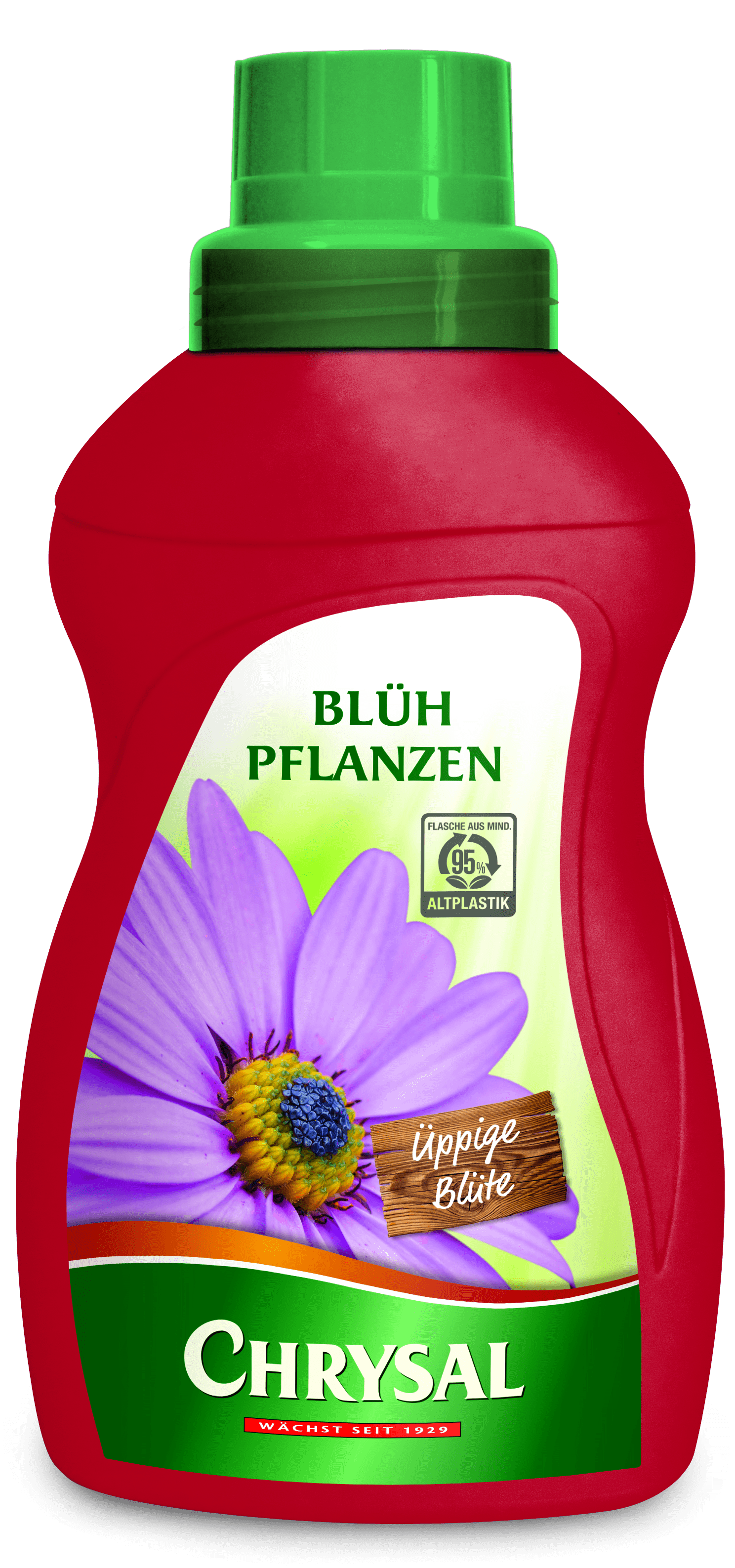 Chrysal Blühpflanzen