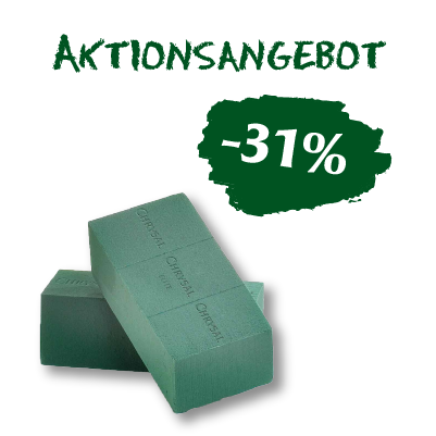 10_Aktionsangebot_Website_Steckschaum.png