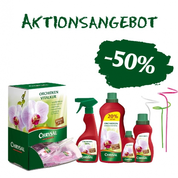 11_Aktionsangebot_Website_November_Zeichenflaeche_1_Kopie.jpg