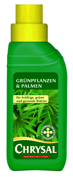 1454_GPPKN_Gruenpflanzen_und_Palmen.jpg